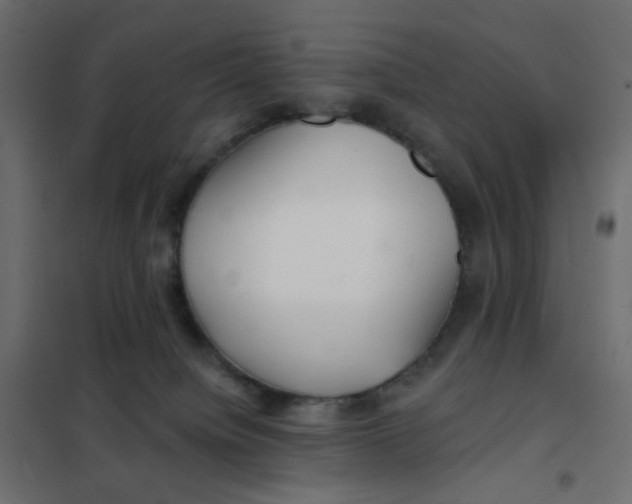 X0000102020084200808081758