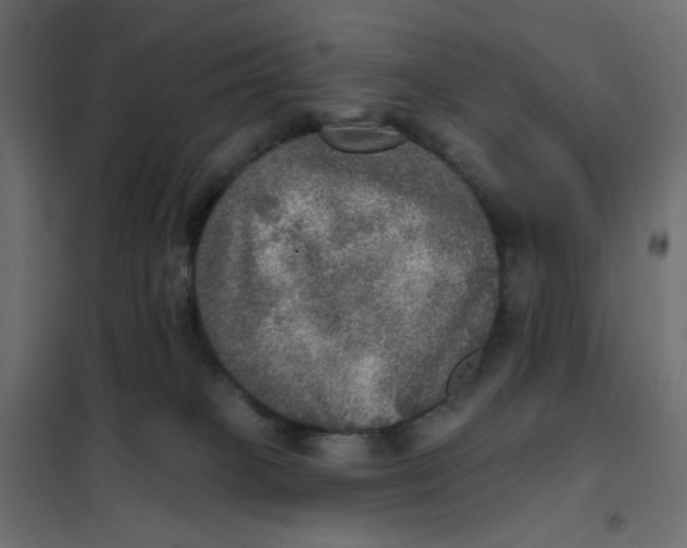 X0000102020085200808081758