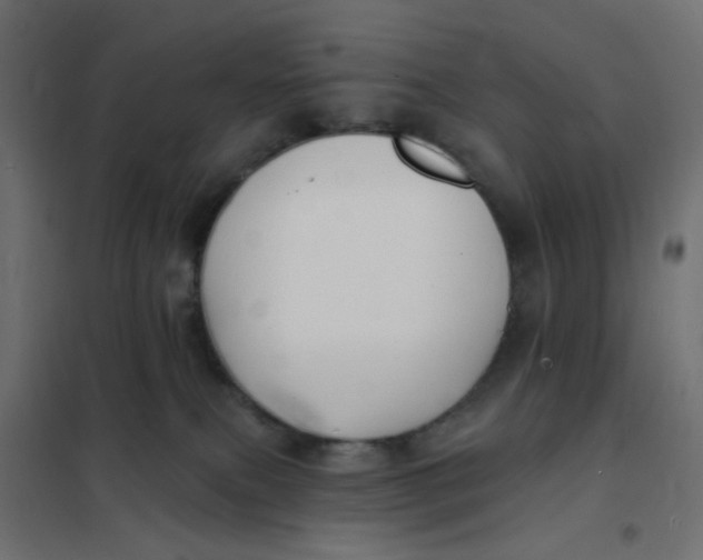 X0000102020087200808081759