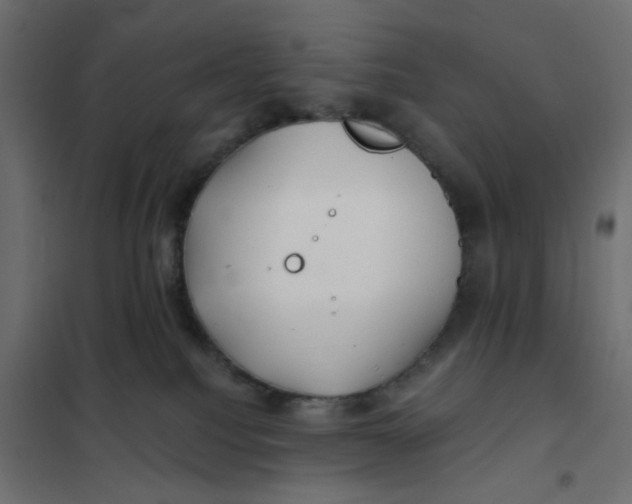 X0000102020088200808081759
