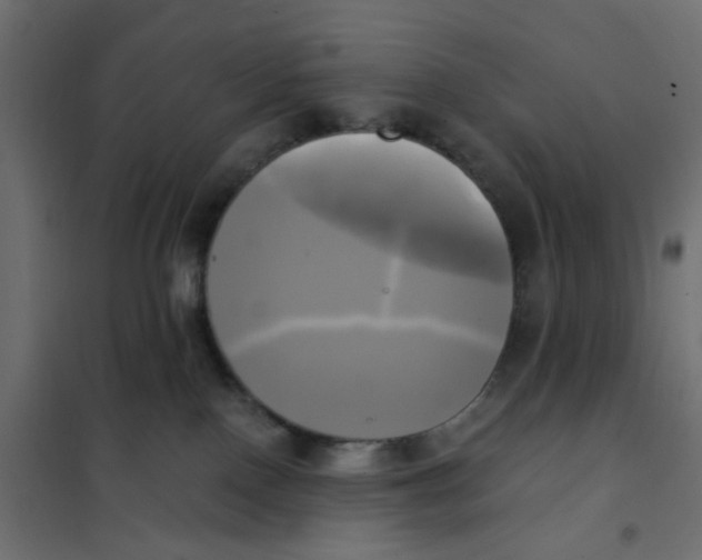 X0000102020090200808081759