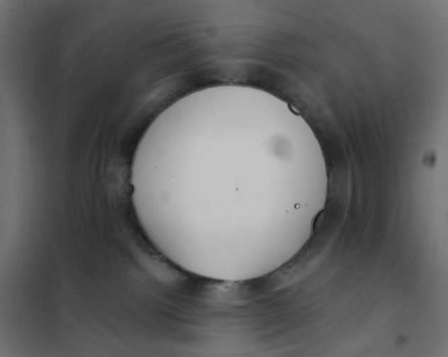 X0000102020092200808081759