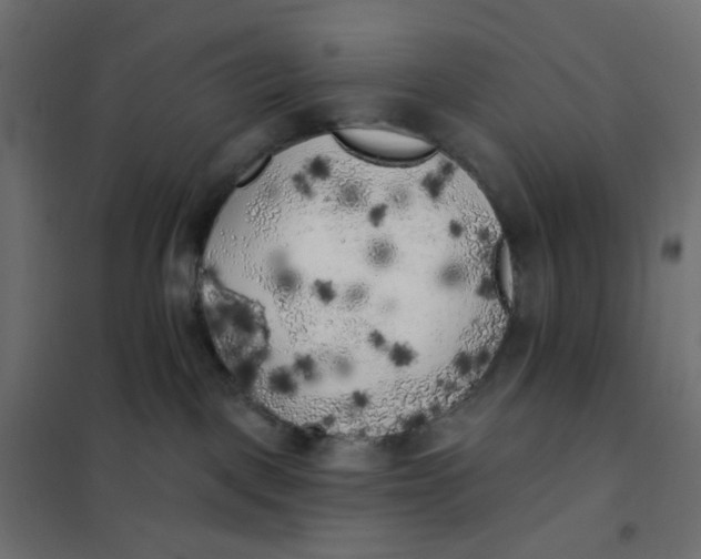 X0000102020093200808081759