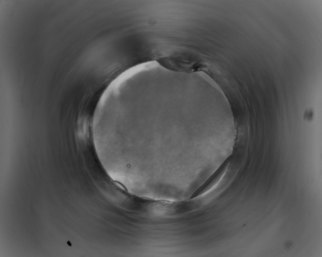 X0000102020094200808081759
