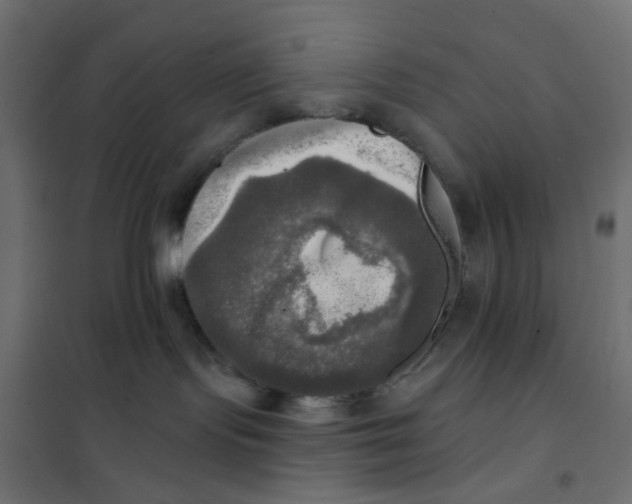 X0000102020095200808081759
