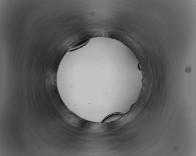X0000102020096200808081759