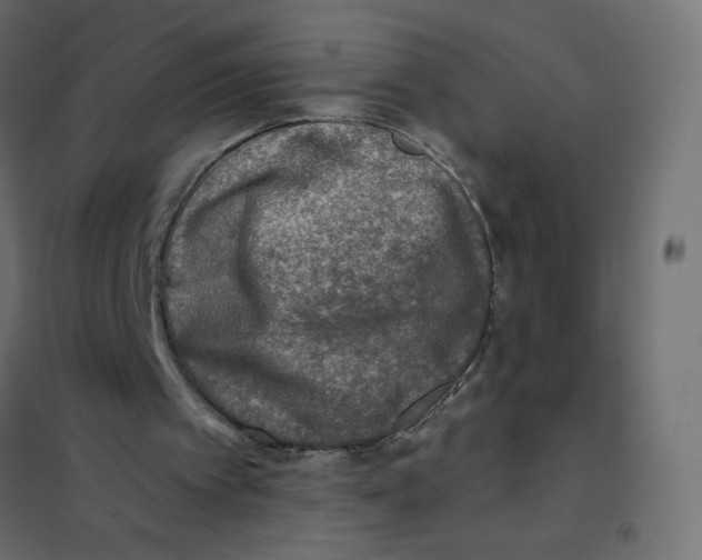 X0000102020097200808081758