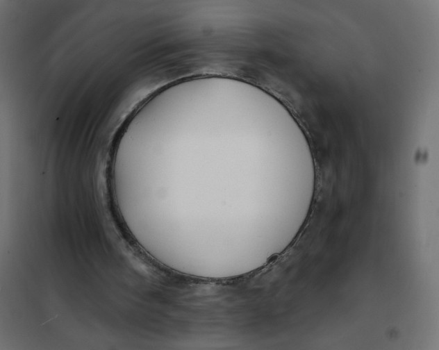 X0000102020098200808081758