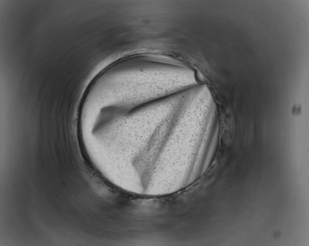 X0000102020100200808081758