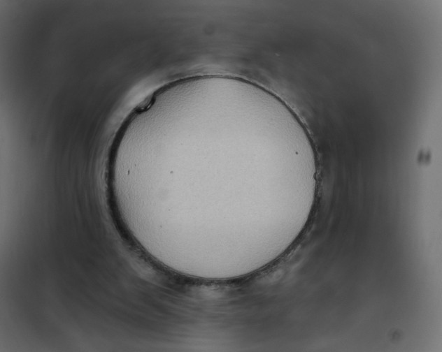 X0000102020103200808081758