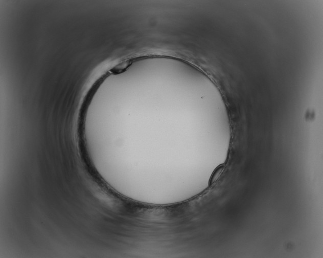 X0000102020104200808081758