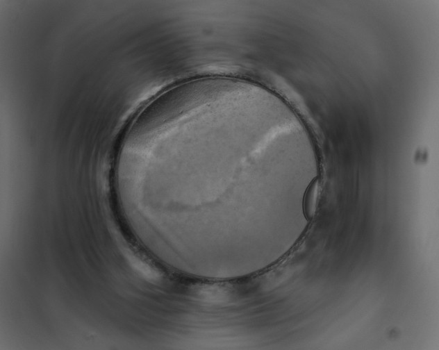 X0000102020106200808081758