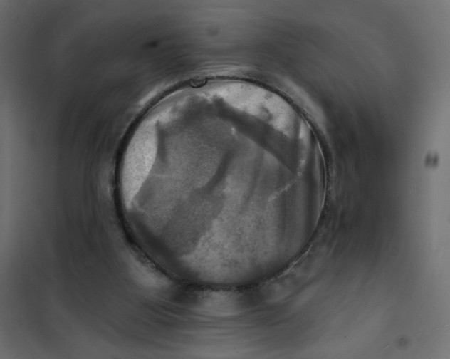 X0000102020107200808081758