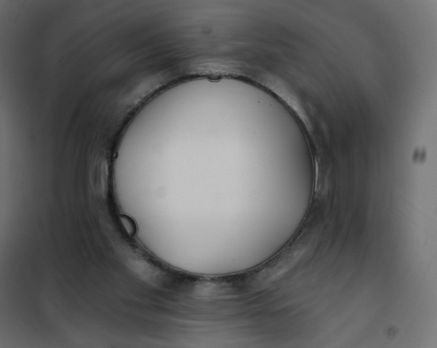 X0000102020109200808081758
