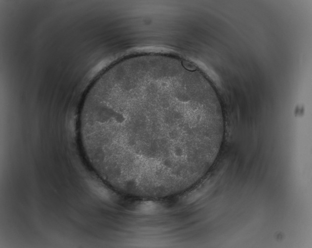 X0000102020111200808081758