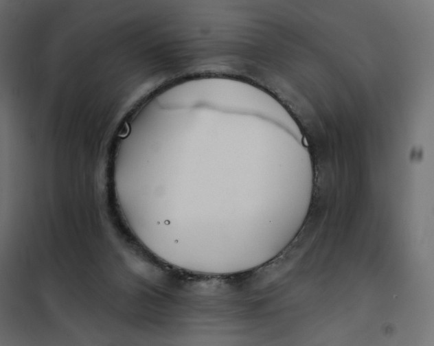 X0000102020112200808081758