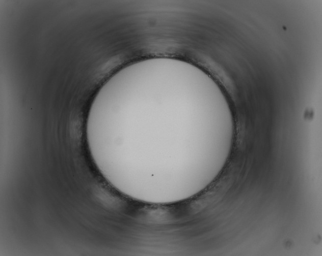 X0000102020113200808081758