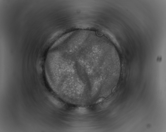 X0000102020114200808081758