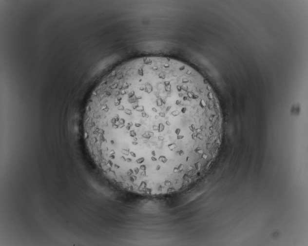 X0000102020115200808081758