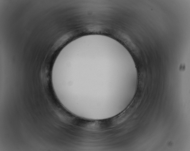 X0000102020116200808081758