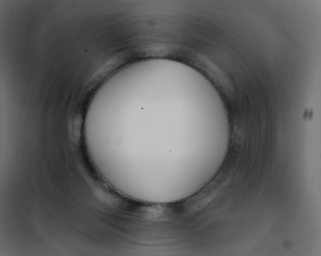 X0000102020118200808081758