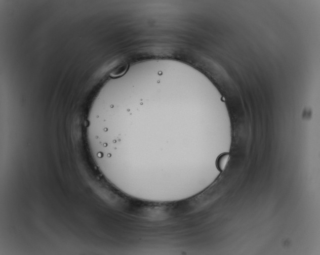 X0000102020120200808081758