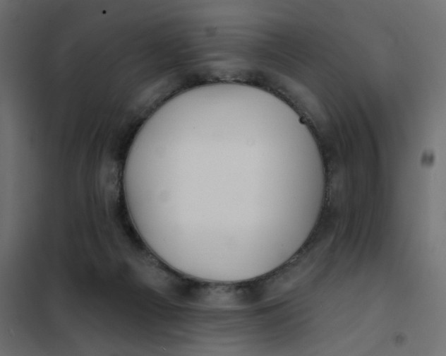 X0000102020121200808081758
