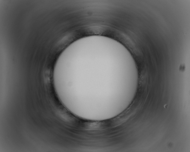 X0000102020122200808081758