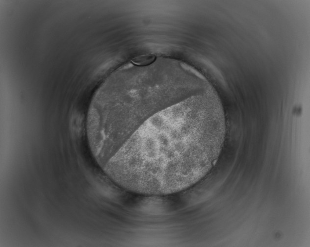 X0000102020123200808081758