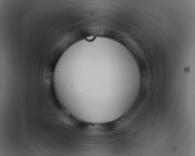 X0000102020125200808081757