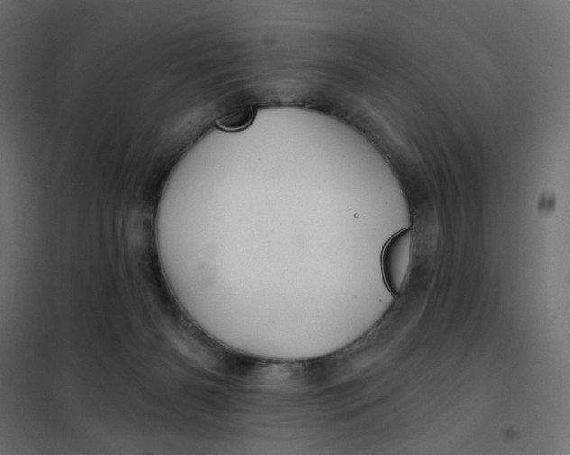 X0000102020126200808081757