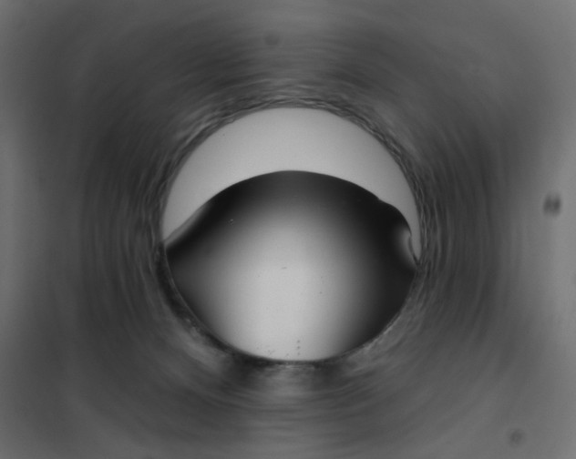 X0000102020128200808081757