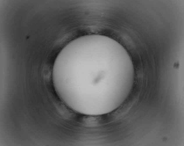 X0000102020129200808081757