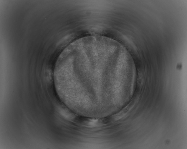 X0000102020130200808081757