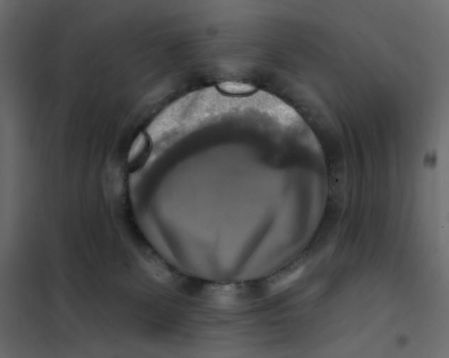 X0000102020131200808081757