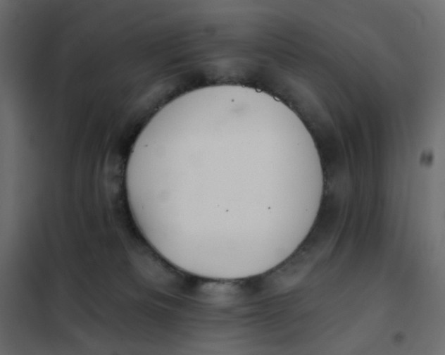 X0000102020133200808081757