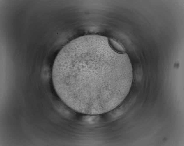 X0000102020135200808081757