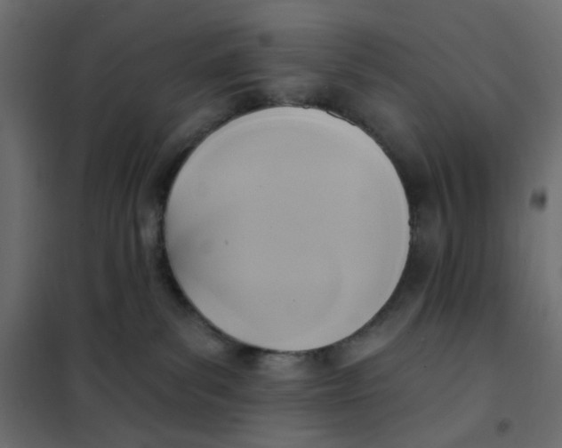 X0000102020139200808081757