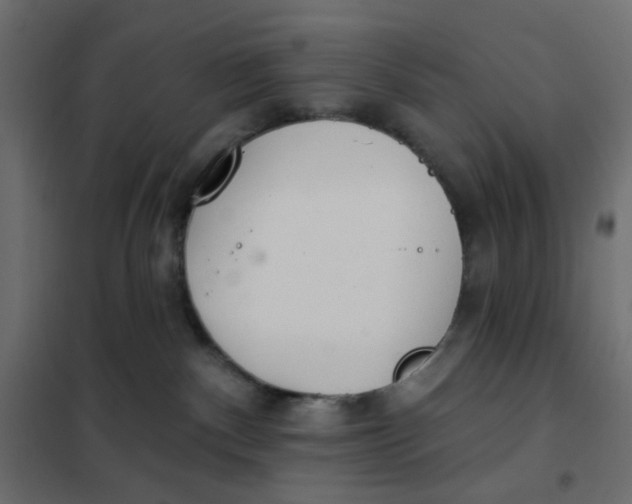 X0000102020140200808081757