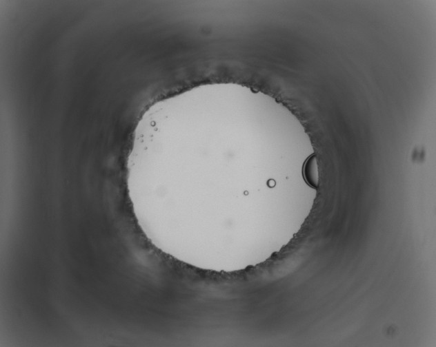 X0000102020144200808081757