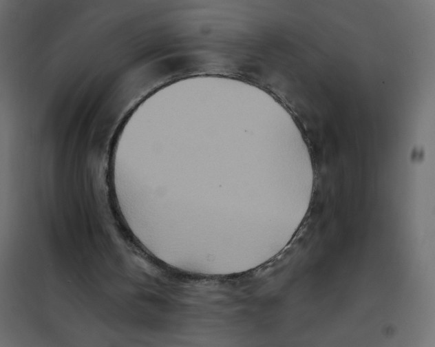 X0000102020146200808081757