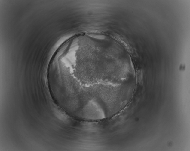 X0000102020147200808081757