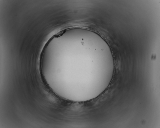 X0000102020148200808081757