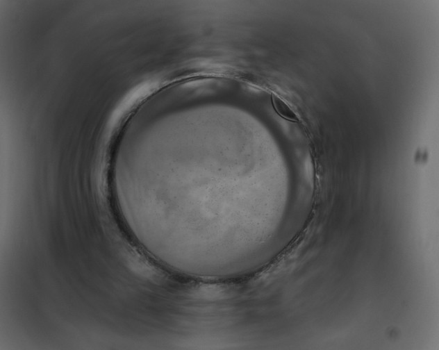 X0000102020149200808081757