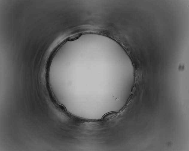 X0000102020150200808081757
