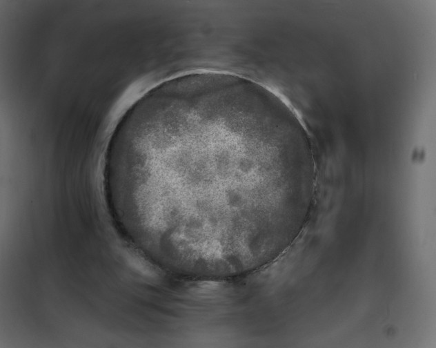 X0000102020151200808081757