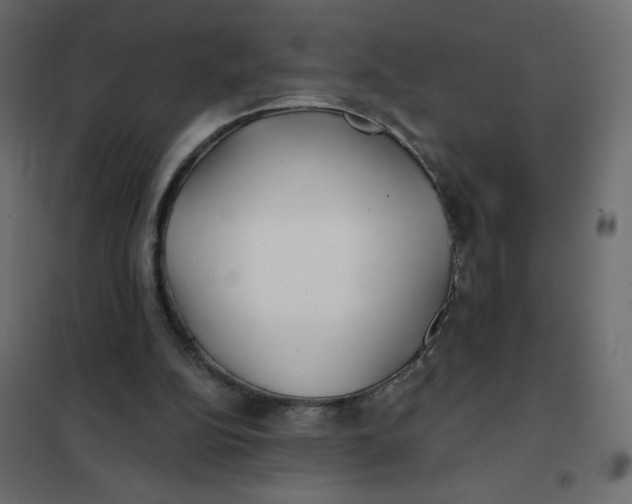 X0000102020152200808081757