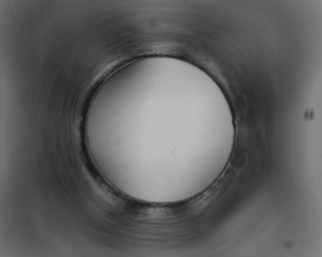 X0000102020154200808081757