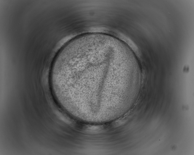 X0000102020155200808081757