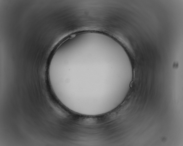 X0000102020156200808081757